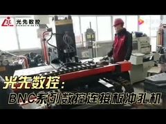 Máy khoan tấm nguyên bản